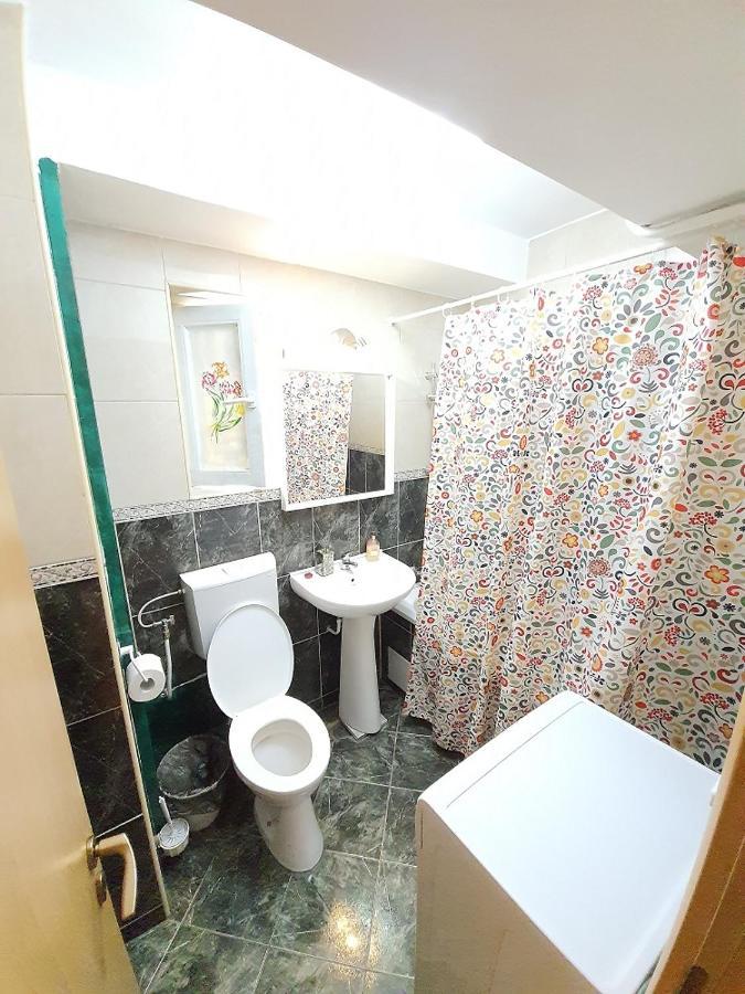 Global Downtown Apartments - Universitate - Balcescu ブカレスト エクステリア 写真